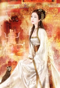 夫人每天都在试图气死我