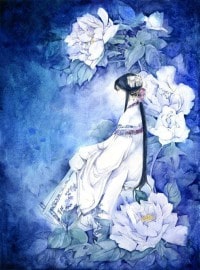 天災貓貓的悠閒生活